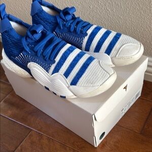 Blue and White Striped Sneakers